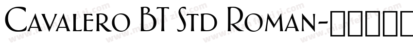Cavalero BT Std Roman字体转换